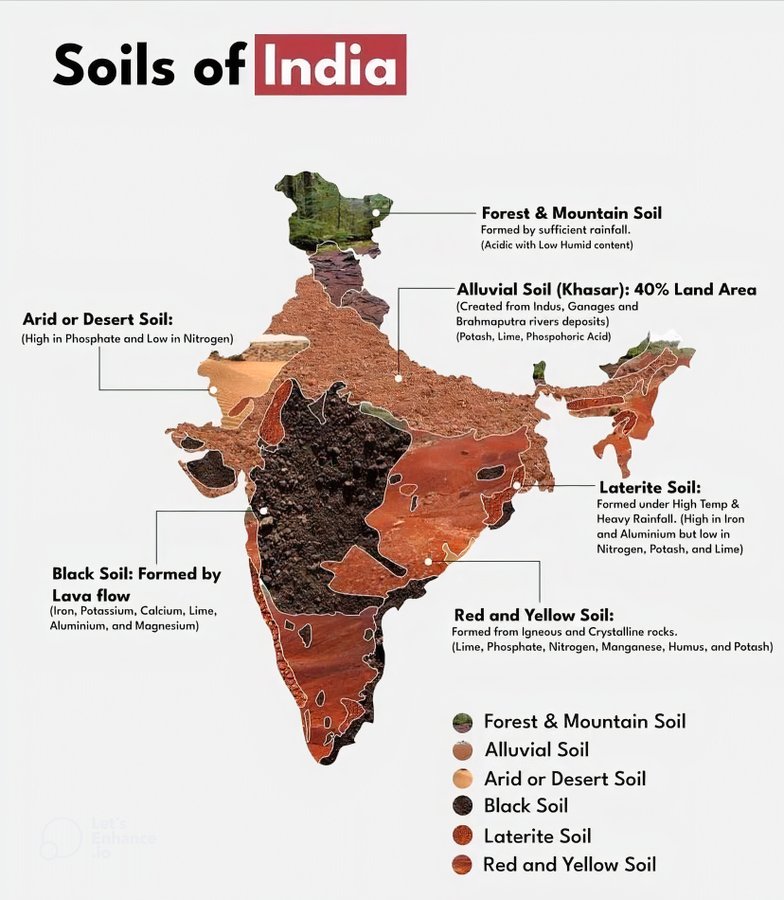 Soils of India